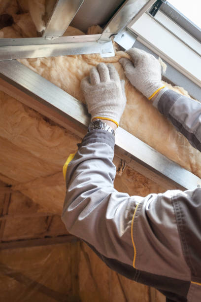 Insulation Repair Services in St Robert, MO