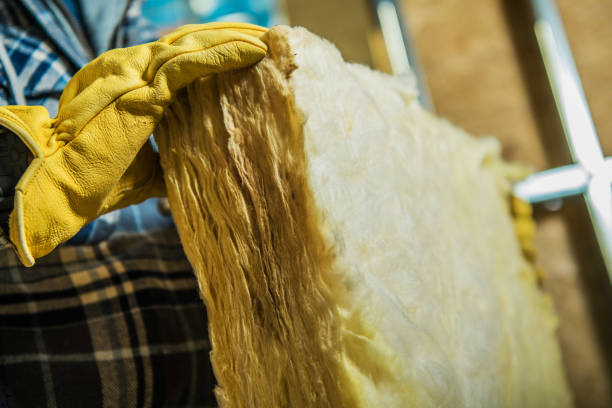 Best Cellulose Insulation  in St Robert, MO